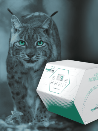 01-Luchs_Green_FL-_1_
